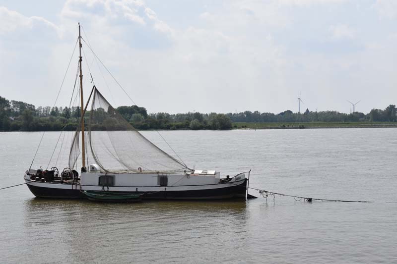 19-05-24_Rees_0124_GA2_0341