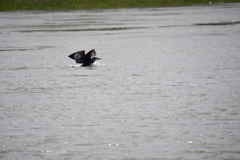 19-05-24_Rees_0183_GA2_0371