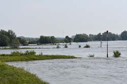 19-05-24_Rees_0053_GA2_0311