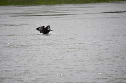 19-05-24_Rees_0183_GA2_0371