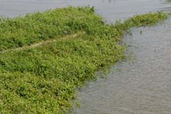 19-05-24_Rees_0269_GA2_0417